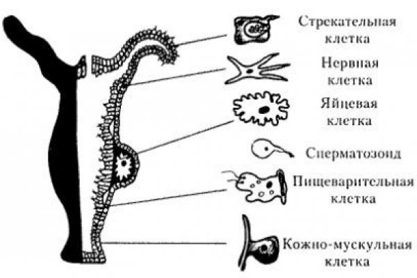 Кракен сайт 17at